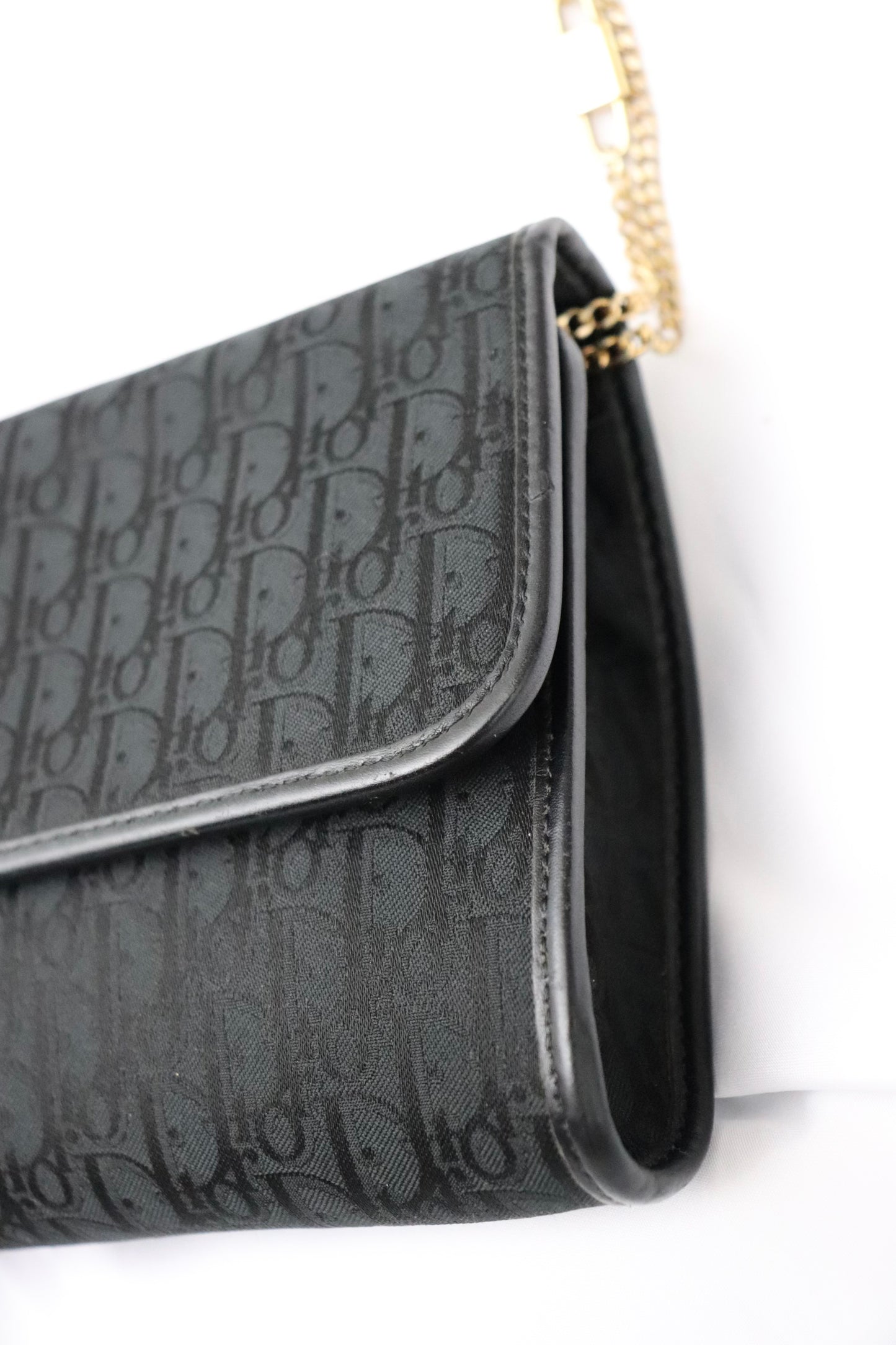 Dior trotter black canvas