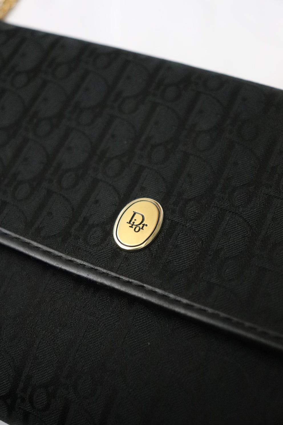Dior trotter black canvas