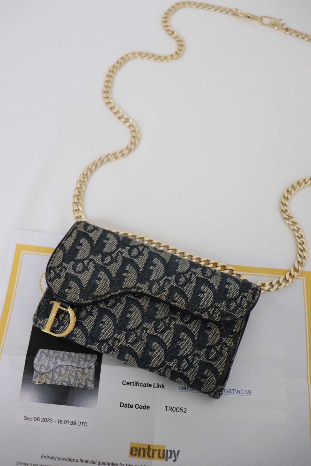 Dior saddle long wallet
